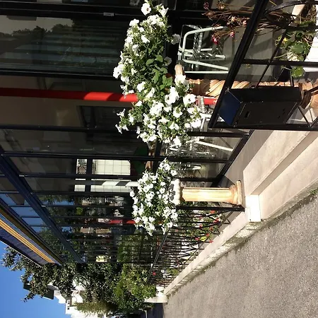Ornella 3* Bellaria – Igea Marina